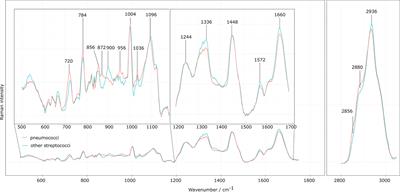 Raman Spectroscopic Differentiation of Streptococcus pneumoniae From Other Streptococci Using <mark class="highlighted">Laboratory Strains</mark> and Clinical Isolates